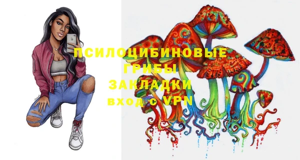 герыч Елизово