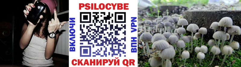 Купить где  Вязьма  Галлюциногенные грибы прущие грибы 