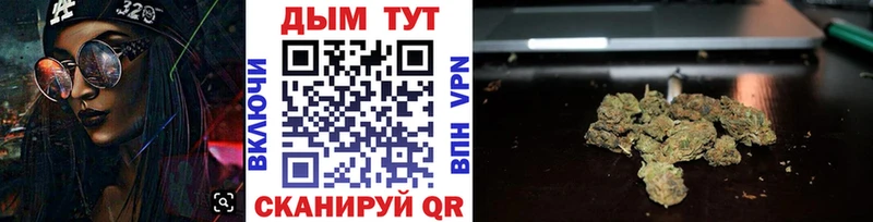 Купить закладки  Вязьма  Конопля Ganja 